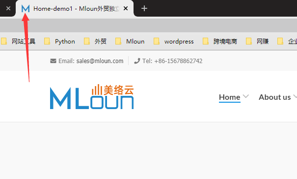 设置网站标题小图标