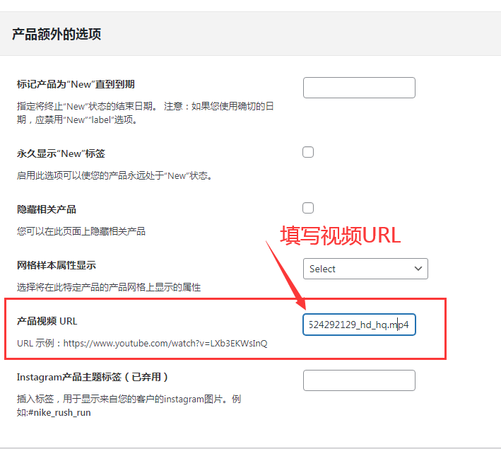 如何插入视频