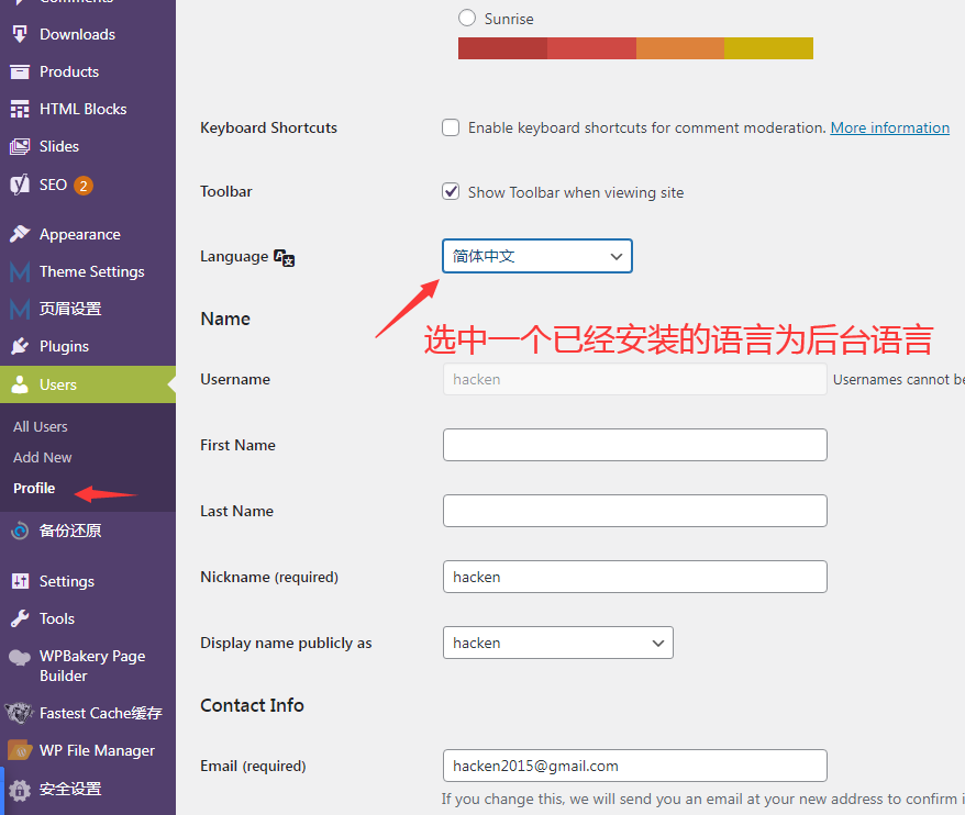 Wordpress网站语言的设置