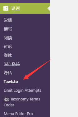 在线聊天工具Tawk.to设置