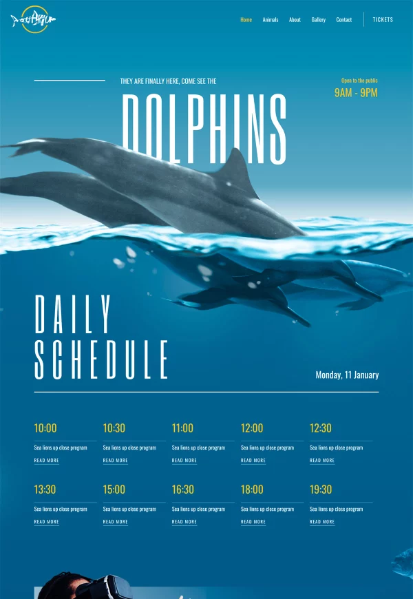 Aquarium 网站模板预览