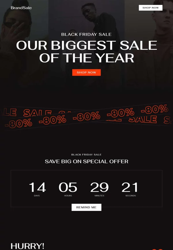 Black Friday Sale 网站模板预览