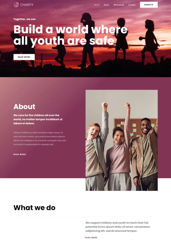Charity 网站模板预览