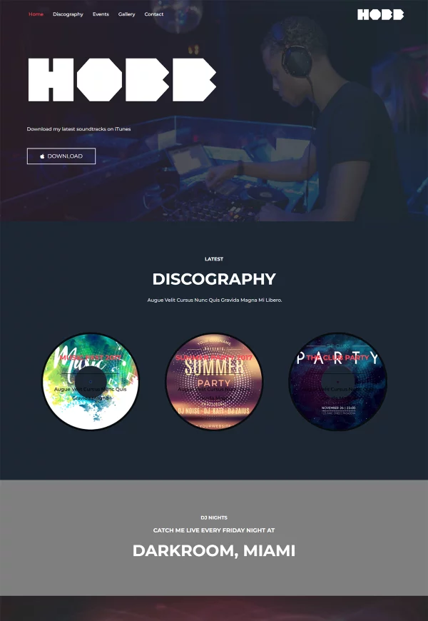 DJ Hobb 网站模板预览