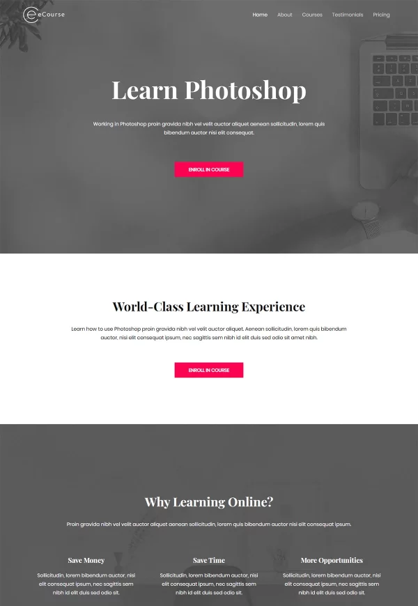 eCourse – Learn Photoshop 网站模板预览
