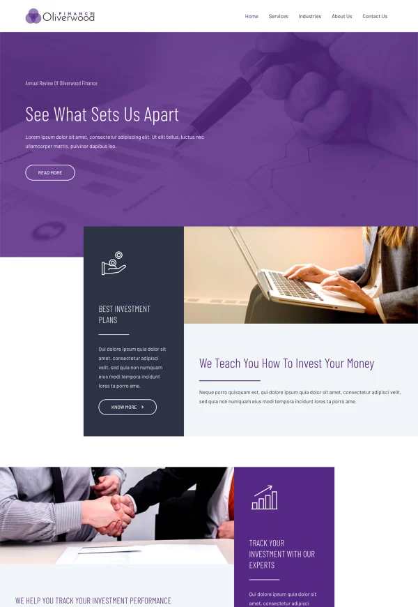 Financial Advisors 网站模板预览