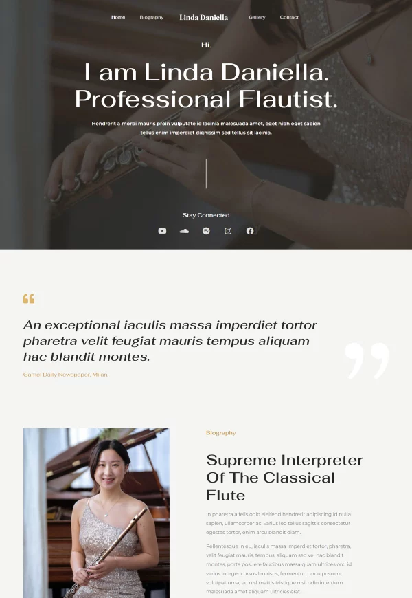 Flute Artist 网站模板预览