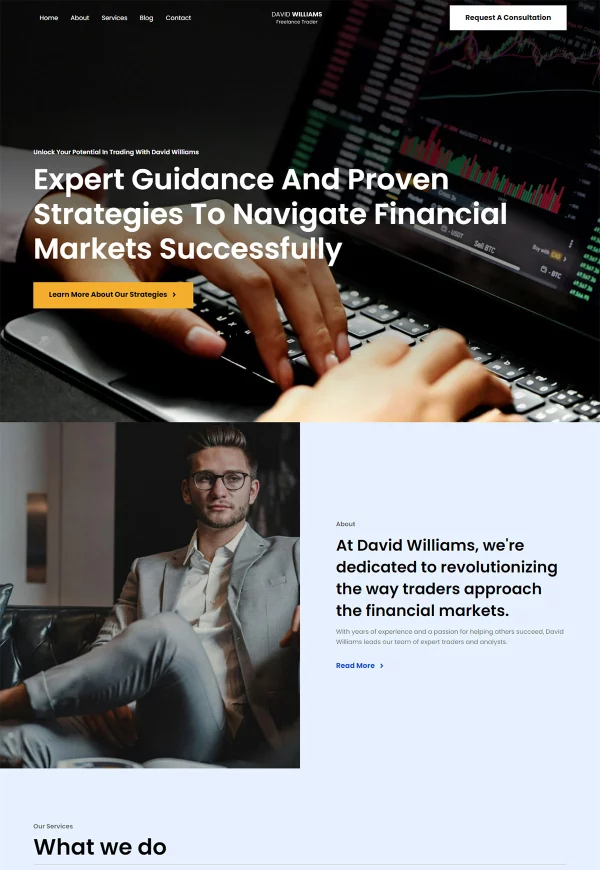 David Williams 网站模板预览