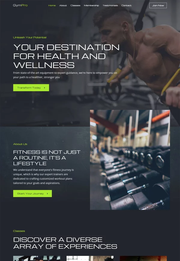 Gym Pro 网站模板预览