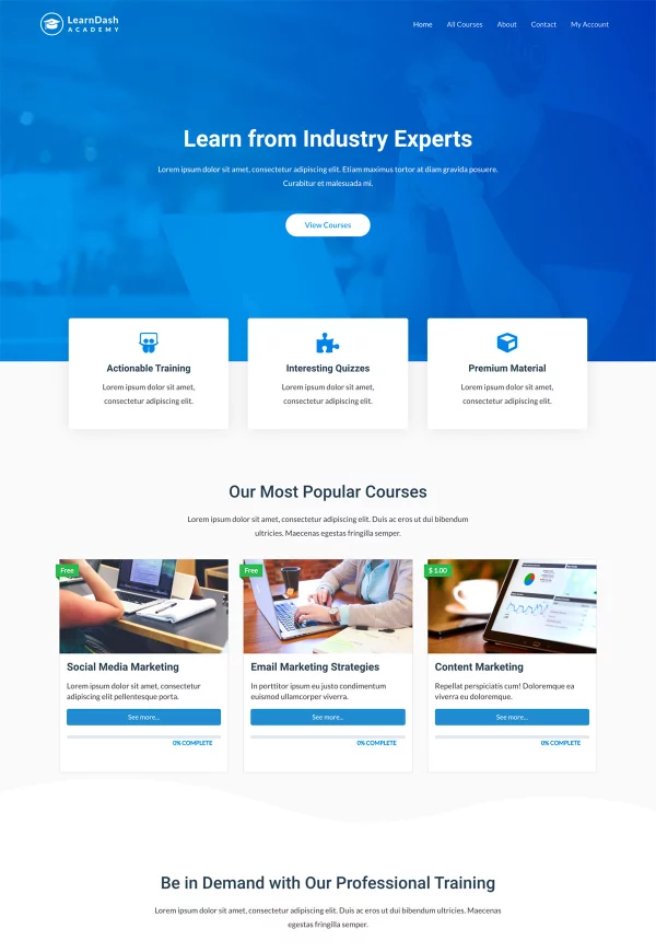 LearnDash Academy 网站模板预览