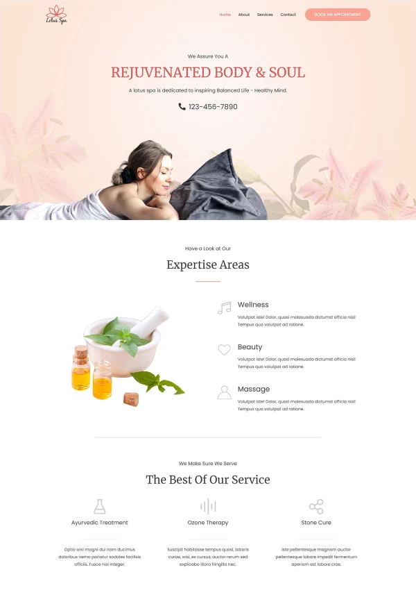 Spa 网站模板预览