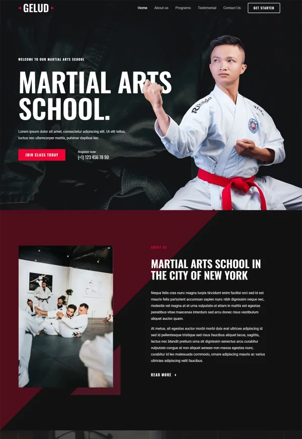 Martial Arts School 网站模板预览