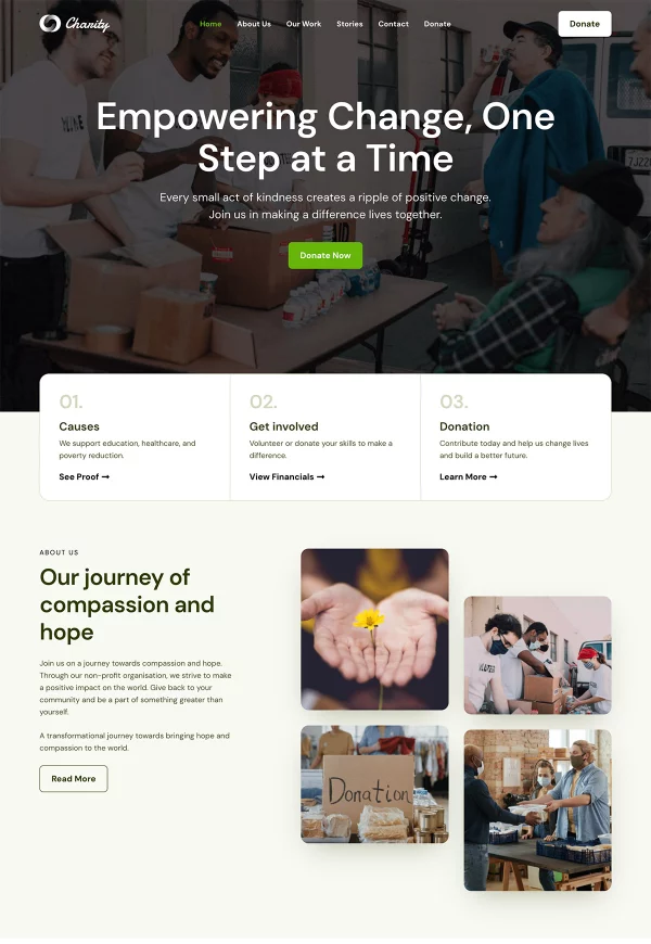 Non-Profit Organization 网站模板预览