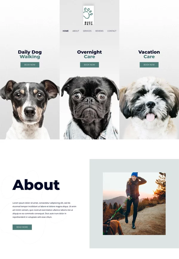 Pet Care 网站模板预览
