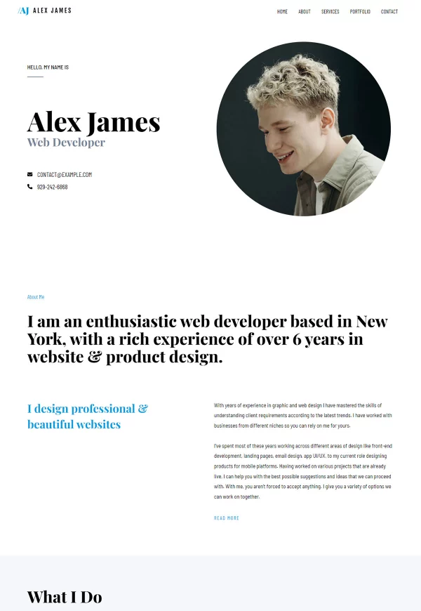 Portfolio & CV 网站模板预览
