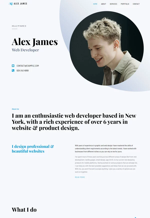 Portfolio & CV 网站模板预览