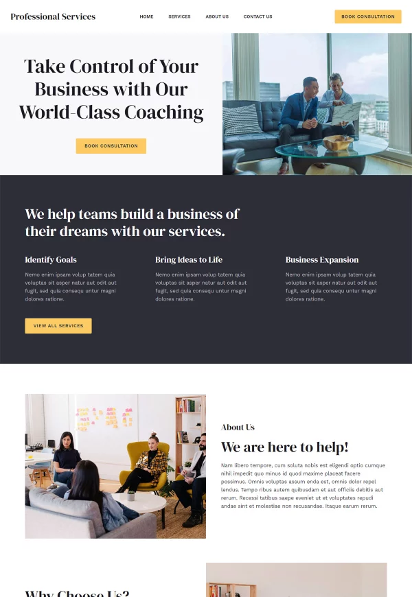 Professional Services 网站模板预览