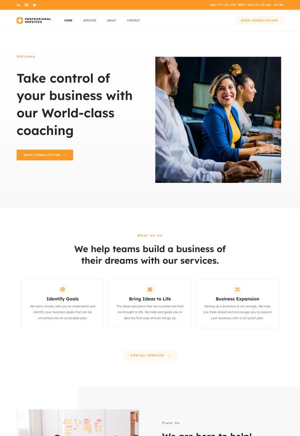 Professional Services 网站模板预览