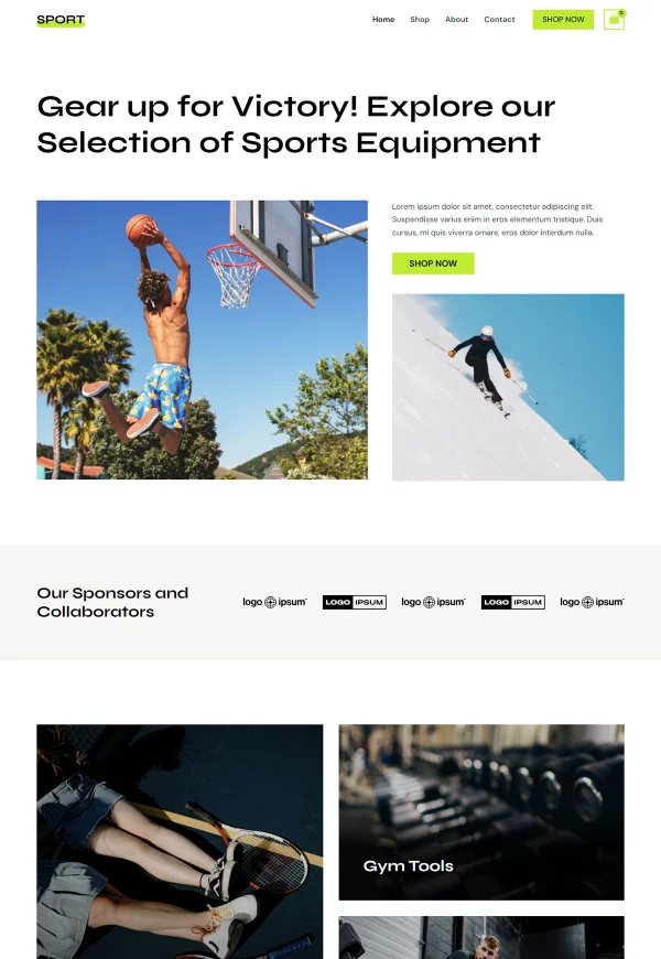 Sports Equipment Store 网站模板预览
