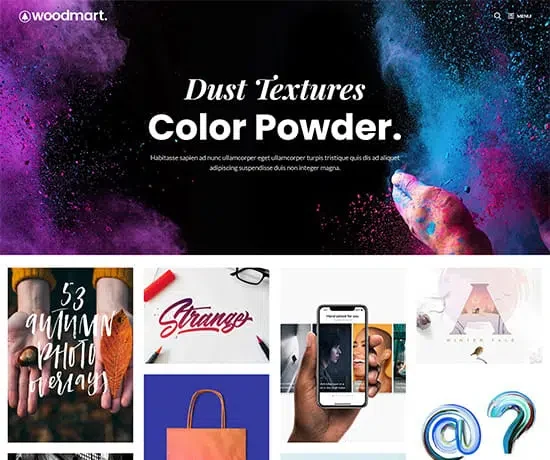 Digital portfolio 网站模板预览