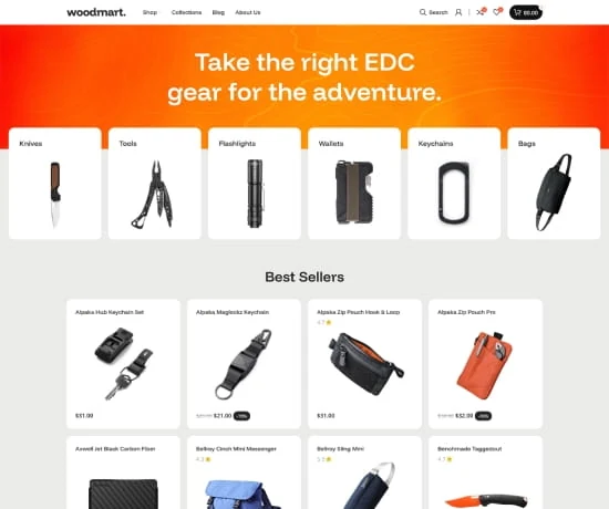EDC 网站模板预览