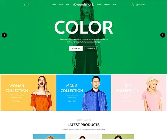 Fashion Color 网站模板预览