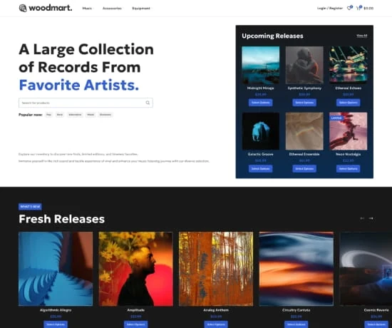 Vinyls 网站模板预览